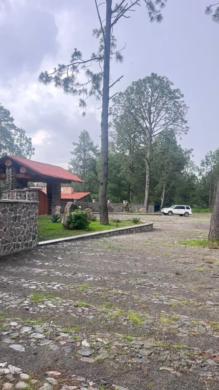 Ingreso controlado de Tlalli Residencial en ángulo, con caseta de piedra y bosque de pinos
