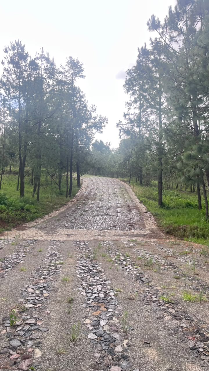 Camino de acceso al desarrollo de terrenos en Tapalpa, kilómetro 8